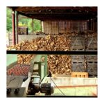 3 stères de bûches – 25cm – En vrac (2M3) – Chêne/Hêtre/Charme – Image 4